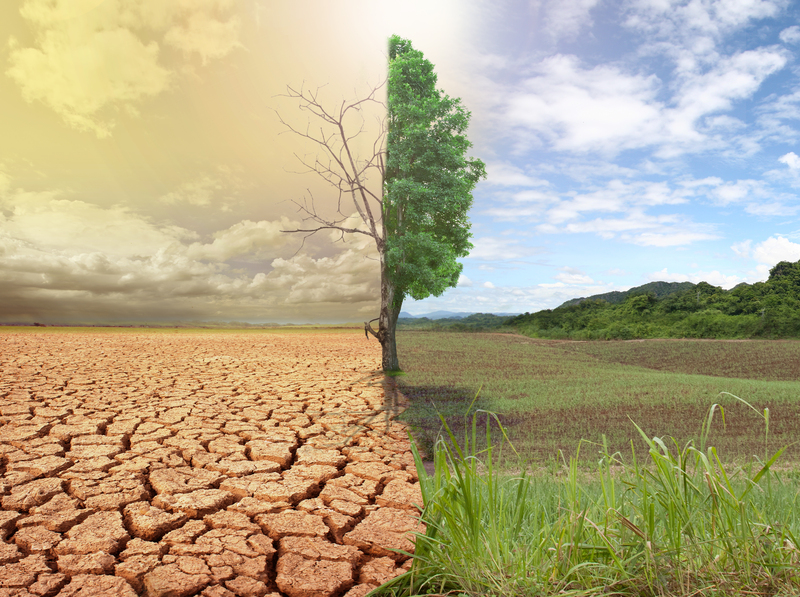 Unleashing the Power of Waste for Sustainable Energy