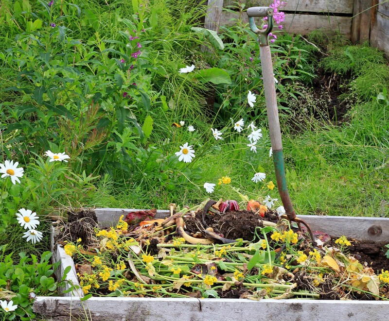 Maximize Your Home Recycling Efficiency with These Tips