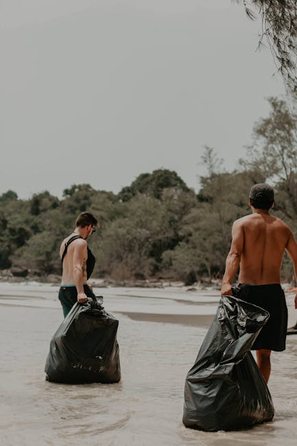 Same day rubbish collection Queens Park insider booking tips