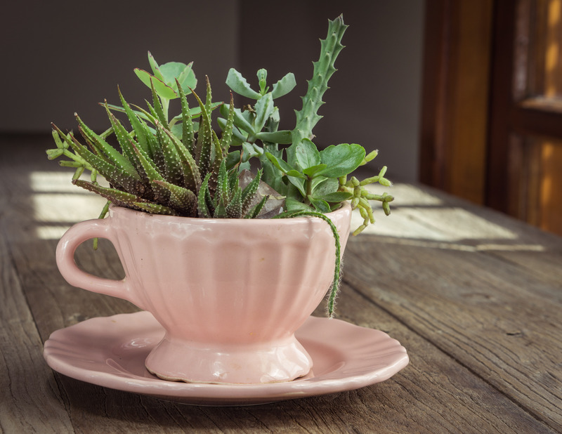 Unlock the Secret to a Tidy and Harmonious Home